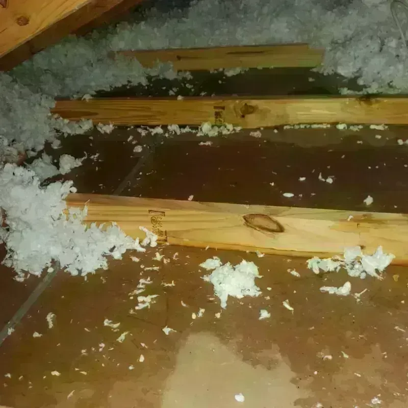 Attic Water Damage in Cassville, MO